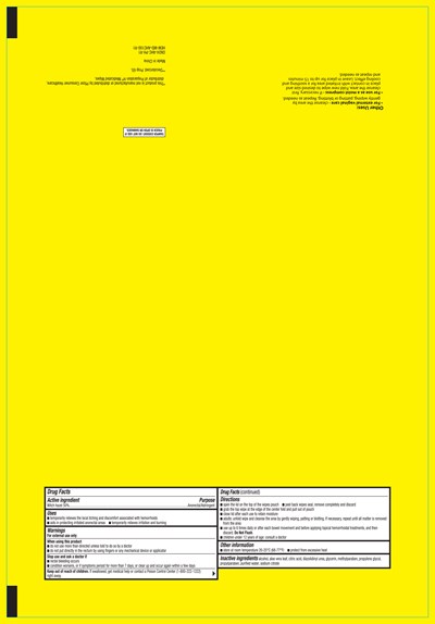 GN24 AHC PH Preparation H Medicated Wipes Generic Pouch 48ct R1 FDA